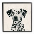 Stupell Industries Traditional Dalmatian Dog Wall Décor, Black Framed, 12 x 1.5 x 12-in