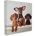 Stupell Industries Dachshunds in the Tub Pet Dog Wall Décor, Canvas, 17 x 1.5 x 17-in