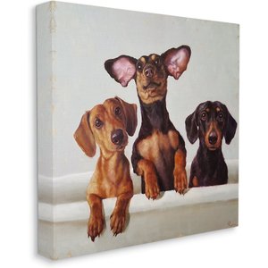 Stupell Industries Dachshunds in the Tub Pet Dog Wall Décor, Canvas, 36 x 1.5 x 36-in
