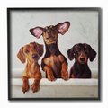Stupell Industries Dachshunds in the Tub Pet Dog Wall Décor, Black Framed, 12 x 1.5 x 12-in