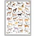 Stupell Industries Chic Alphabet of Dogs with Floral Detail Dog Wall Décor, Gray Framed, 11 x 1.5 x 14-in
