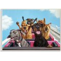 Stupell Industries Dogs Riding Roller Coaster Funny Amusement Park Dog Wall Décor, Wood, 10 x 0.5 x 15-in