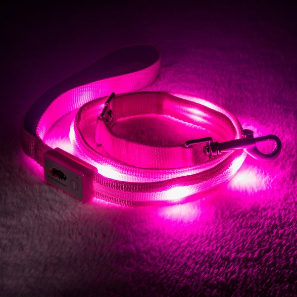 Blazin' Safety LED Dog Leash, Pink, Small slide 1 of 5