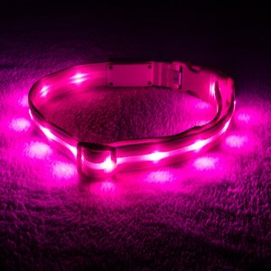 Blazin' Safety LED USB Rechargeable Nylon Dog Collar, Pink, X-Small
