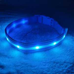 Blazin' Safety LED USB Rechargeable Nylon Dog Collar, Light Blue, Medium