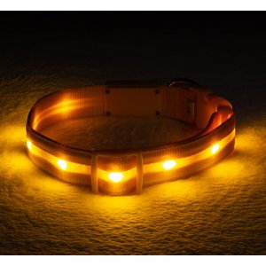 Blazin' Safety LED USB Rechargeable Nylon Dog Collar, Yellow, Medium