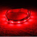 Blazin' Safety LED USB Rechargeable Nylon Dog Collar, Red, Large