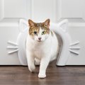 PetSafe Corridor Interior Cat Door, White