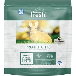 Blue Seal Home Fresh Pro Hutch 16 Pellet Rabbit Food, 7-lb bag