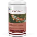 Aquascape Non-Iodized Fish Pond Salt, 2-lb jar