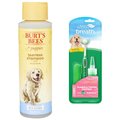 TropiClean Fresh Breath Puppy Oral Care Kit + Burt's Bees Tearless Puppy Shampoo with Buttermilk for Dogs