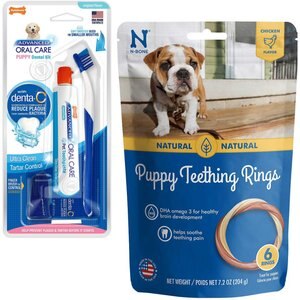 Nylabone Advanced Oral Care Puppy Dental Kit + N-Bone Teething Ring Chicken Flavor Dog Treats