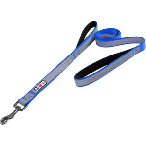 Pawtitas Padded Reflective Dog Leash 2 Handles, Blue, Large