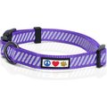 Pawtitas Reflective Traffic Dog Collar, Purple, Small