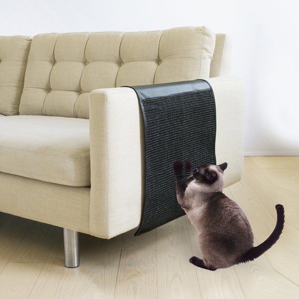 Precious Tails Cat Scratching Sofa, How To Stop Cats Clawing Leather Sofa
