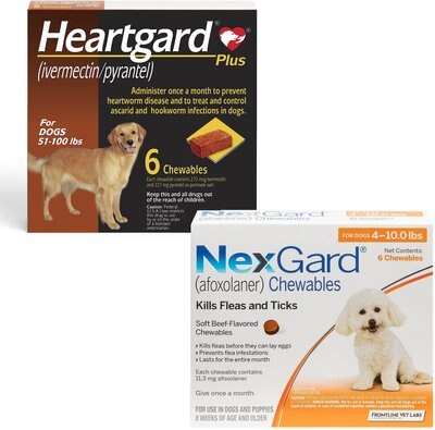 Heartgard Plus for Dogs, 6 Chews (6-mos. supply) & NexGard for Dogs, 6 Chews (6-mos. supply), slide 1 of 1