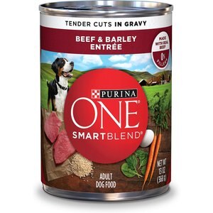 Purina ONE SmartBlend Tender Cuts in Gravy Beef & Barley Entree Adult Canned Dog Food, 13-oz, case of 12, bundle of 2