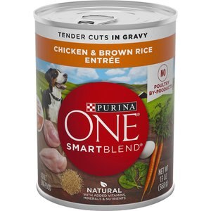 Purina ONE SmartBlend Tender Cuts in Gravy Chicken & Brown Rice Entree Adult Canned Dog Food, 13-oz, case of 12, bundle of 2