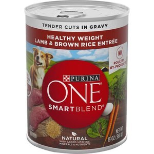 Purina ONE SmartBlend Tender Cuts in Gravy Lamb & Brown Rice Entree Adult Canned Dog Food, 13-oz, case of 12, bundle of 2