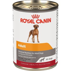 Royal Canin Adult Canned Dog Food, 13.5-oz, case of 12, bundle of 2