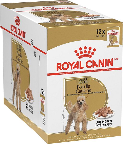 Royal Canin Breed Health Nutrition Poodle Loaf In Gravy Pouch Canned Dog Food, 3-oz pouch, case of 12, bundle of 2 slide 1 of 7