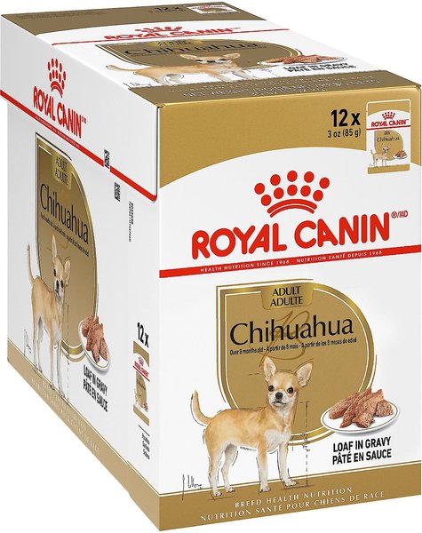 Royal Canin Breed Health Nutrition Chihuahua Loaf In Gravy Pouch Dog Food, 3-oz, case of 12, bundle of 2 slide 1 of 8