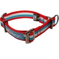 Kurgo Walk About Limited Slip Dog Collar, Multi-color, Medium