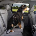 Kurgo Direct to Seatbelt Swivel Dog Collar Tether, Coastal Blue