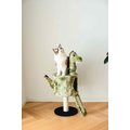 Catry 34-in Dinosaur Design with Sisal Scratching Post Cat Tree, Green