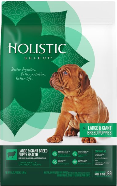 Holistic Select Large & Giant Breed Puppy Health Lamb Meal & Oatmeal Recipe Dry Dog Food, 15-lb bag slide 1 of 10