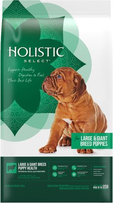 Holistic Select Large & Giant Breed Puppy Health Lamb Meal & Oatmeal Recipe Dry Dog Food, slide 1 of 1