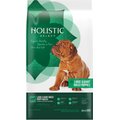 Holistic Select Large & Giant Breed Puppy Health Lamb Meal & Oatmeal Recipe Dry Dog Food