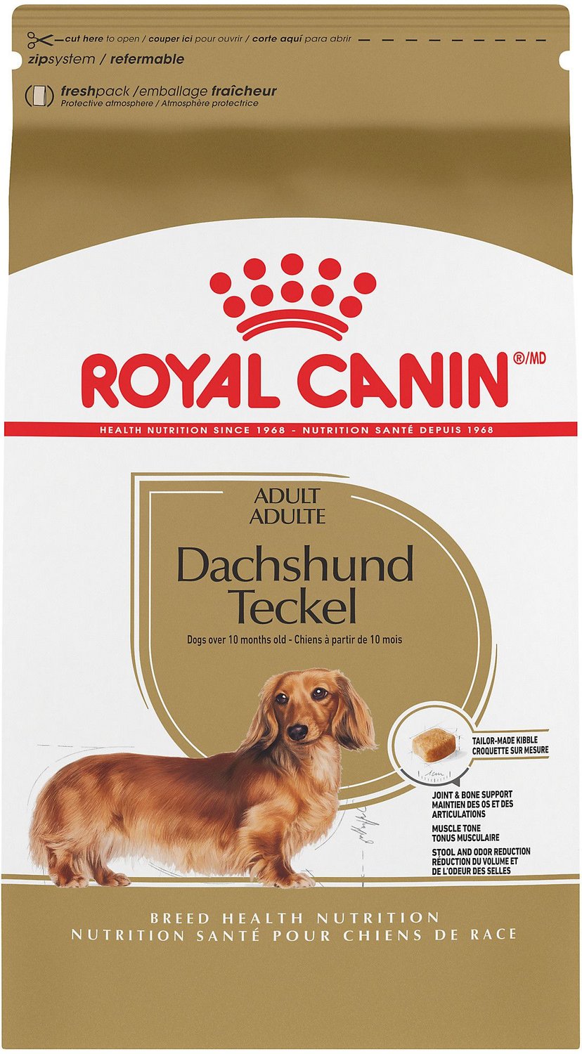 royal canin dachshund dog food