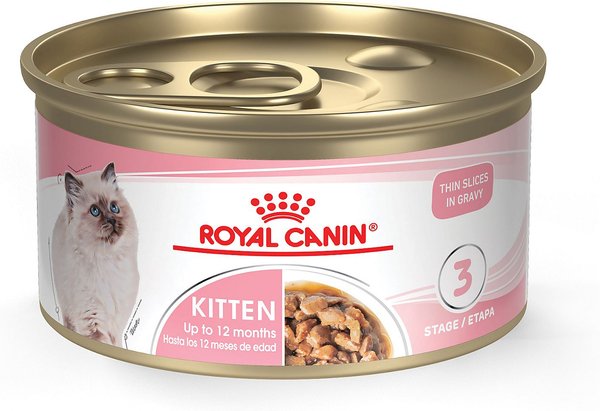 Royal Canin Feline Health Nutrition Thin Slices in Gravy Wet Kitten Food, 3-oz, case of 24 slide 1 of 8
