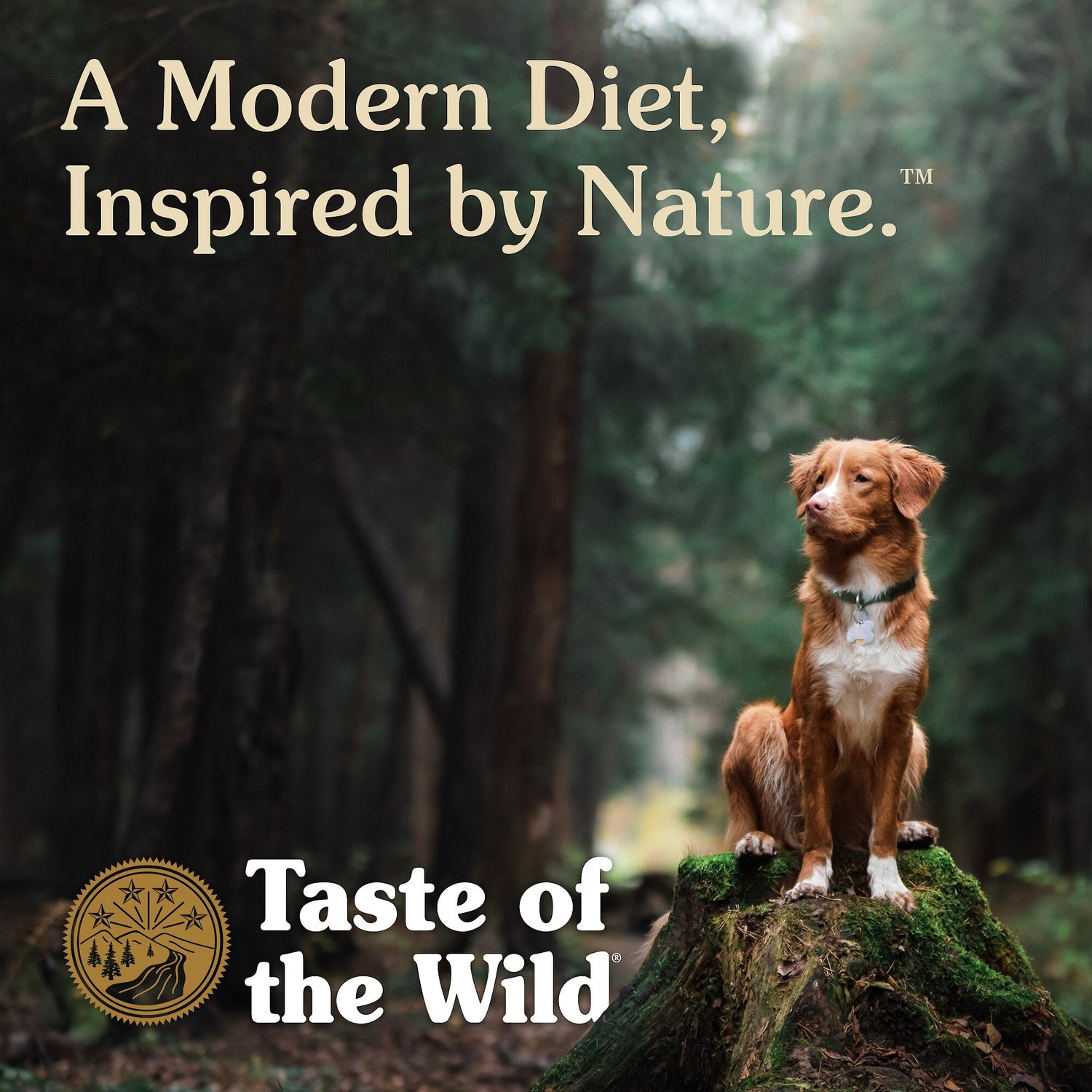 Taste Of The Wild Dog Food Chart