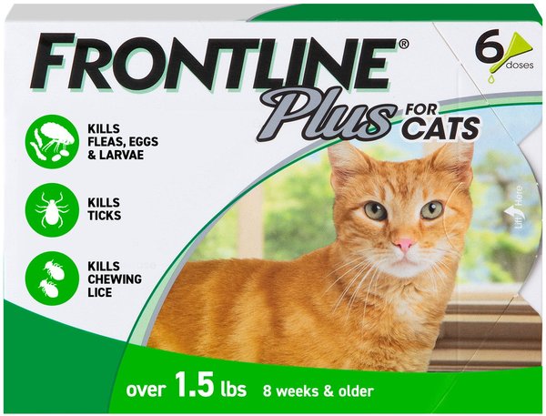 Frontline Plus Flea & Tick Spot Treatment for Cats, over 1.5 lbs, 6 Doses (6-mos. supply) slide 1 of 13