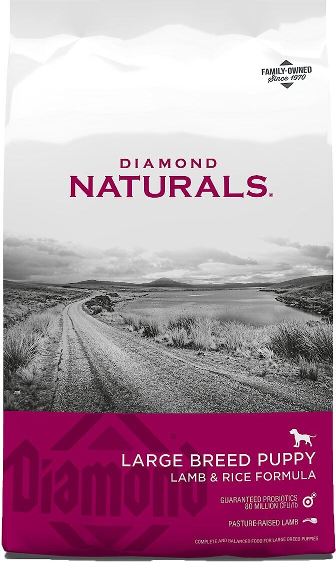 Diamond Naturals Large Breed Puppy Formula Dry Dog Food 6 Lb Bag Chewy Com