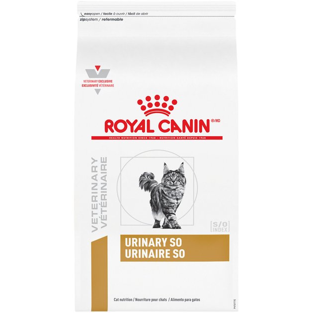 royal canin urinary so cat