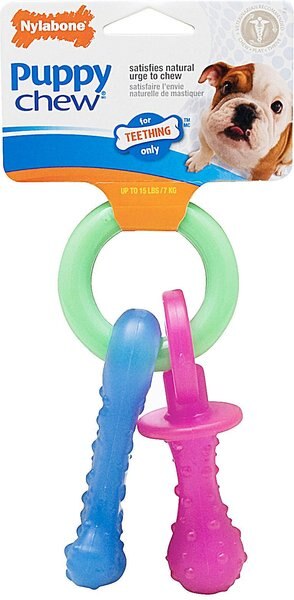 Nylabone Teething Pacifier Puppy Chew Toy slide 1 of 12