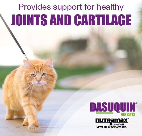 Nutramax Dasuquin Joint Health Cat Supplement, 84 count