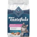 Blue Buffalo Sensitive Stomach Chicken Recipe Adult Dry Cat Food