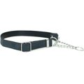 Euro-Dog Modern Leather Martingale Dog Collar, Blue Jeans, Large: 15 to 23-in neck