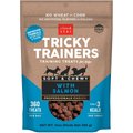 Cloud Star Chewy Tricky Trainers Salmon Flavor Dog Treats, 14-oz bag