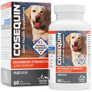 Nutramax Cosequin Maximum Strength Plus MSM Chewable Tablets Joint Supplement for Dogs, 60 count