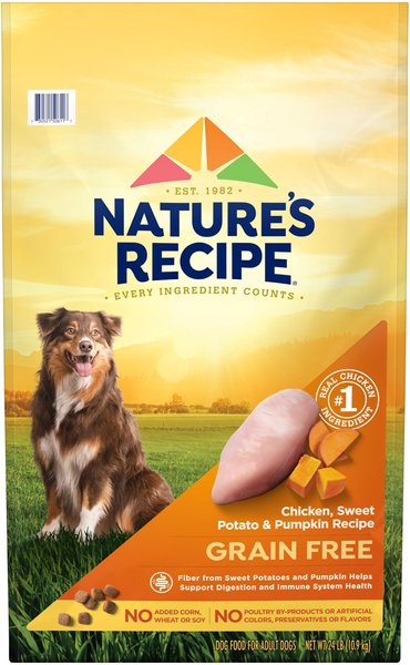 Nature's Recipe Grain-Free Chicken, Sweet Potato & Pumpkin Recipe Dry Dog Food, 24-lb bag slide 1 of 9