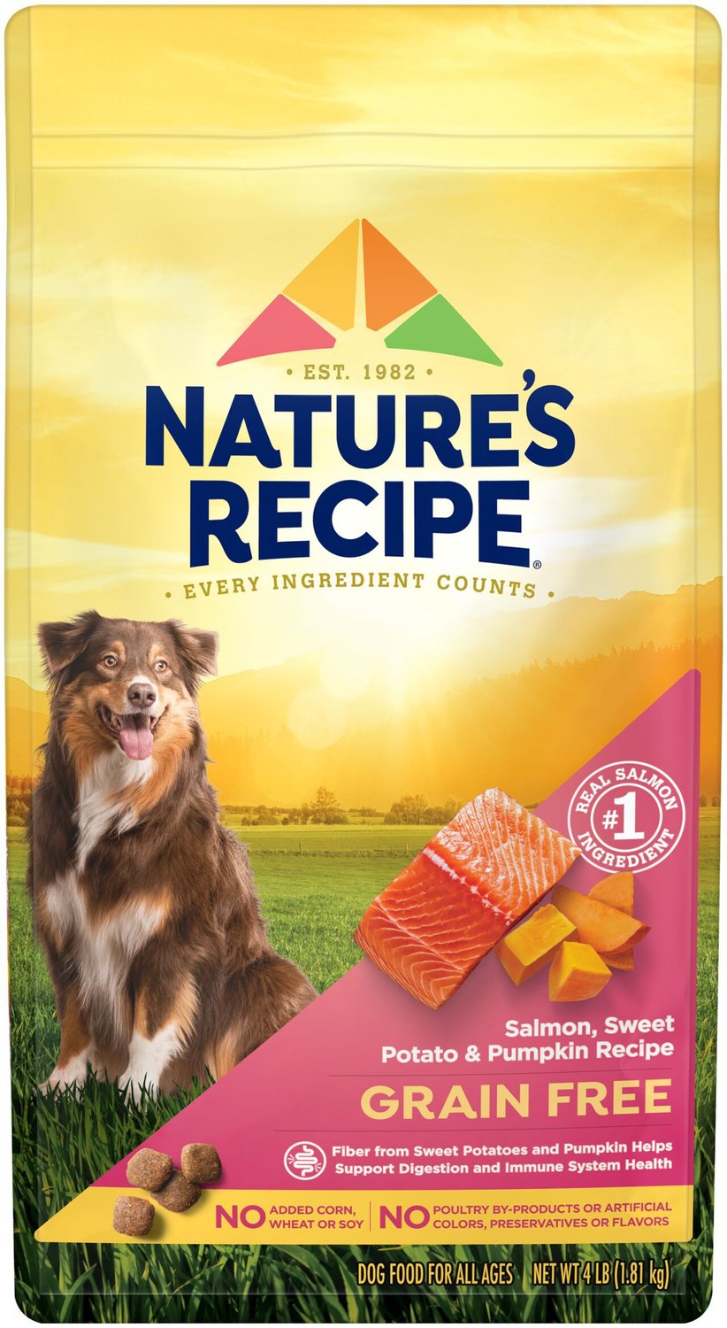 Pumpkin Recipe Dry Dog Food 