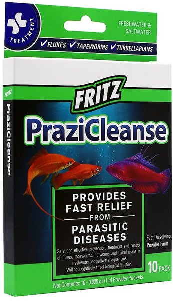 Fritz PraziCleanse Fish Treatment, 10 count slide 1 of 1