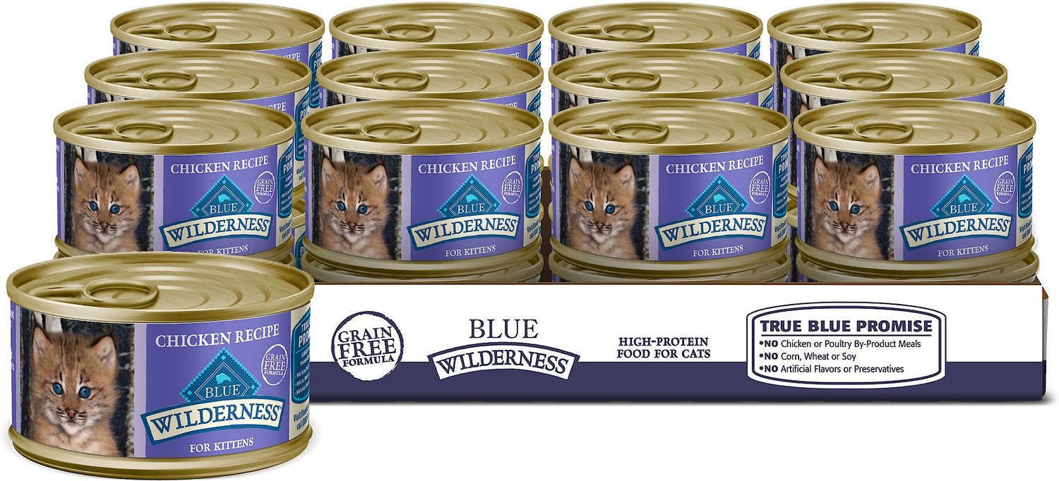Blue Wilderness Kitten Wet Food Review
