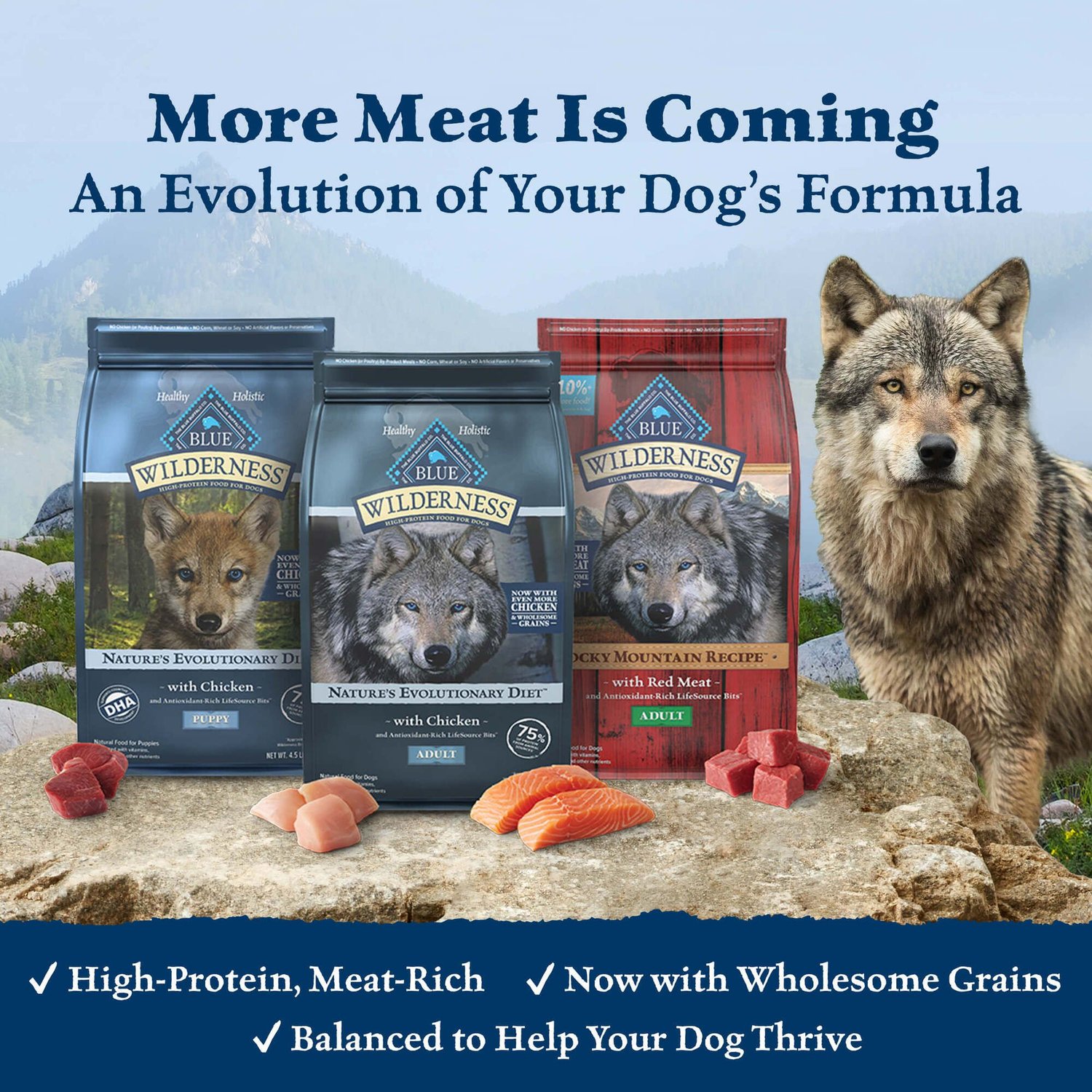 Blue Buffalo Wilderness Puppy Chicken Recipe Grain-Free Dry Dog Food