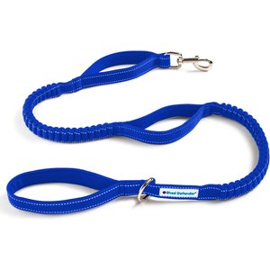 Shed Defender Triton Nylon Bungee Reflective Dog Leash, Royal Blue, 5-ft long, 1-in wide
